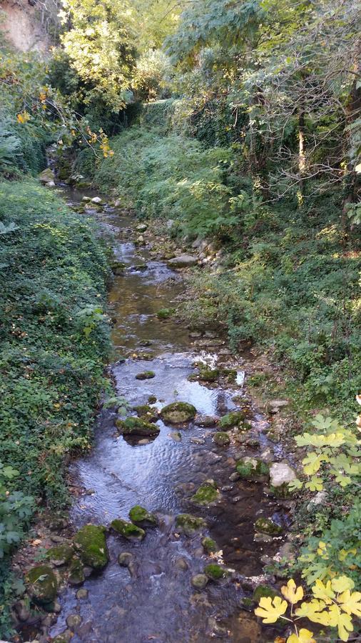 Moulin Des Eaux Vives Hotel Grasse Zewnętrze zdjęcie